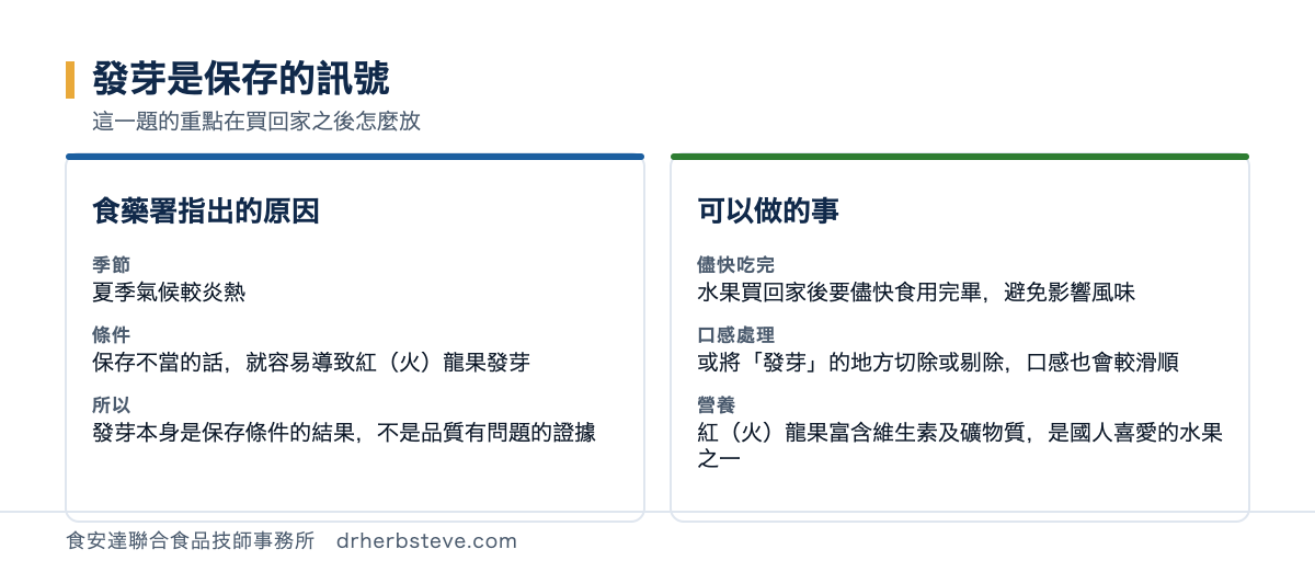 對照圖：發芽是保存的訊號，這一題的重點在買回家之後怎麼放。食藥署指出的原因方面季節是夏季氣候較炎熱，條件是保存不當的話就容易導致紅火龍果發芽，所以發芽本身是保存條件的結果不是品質有問題的證據；可以做的事方面儘快吃完是水果買回家後要儘快食用完畢避免影響風味，口感處理是或將發芽的地方切除或剔除口感也會較滑順，營養是紅火龍果富含維生素及礦物質是國人喜愛的水果之一